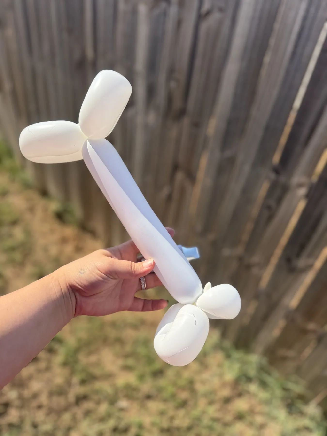 White balloon dog made for a fall family event